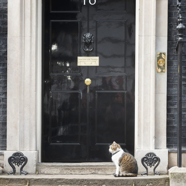 downing-street-larry-the-cat
